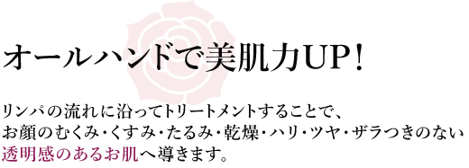 ダイエット成功率100%